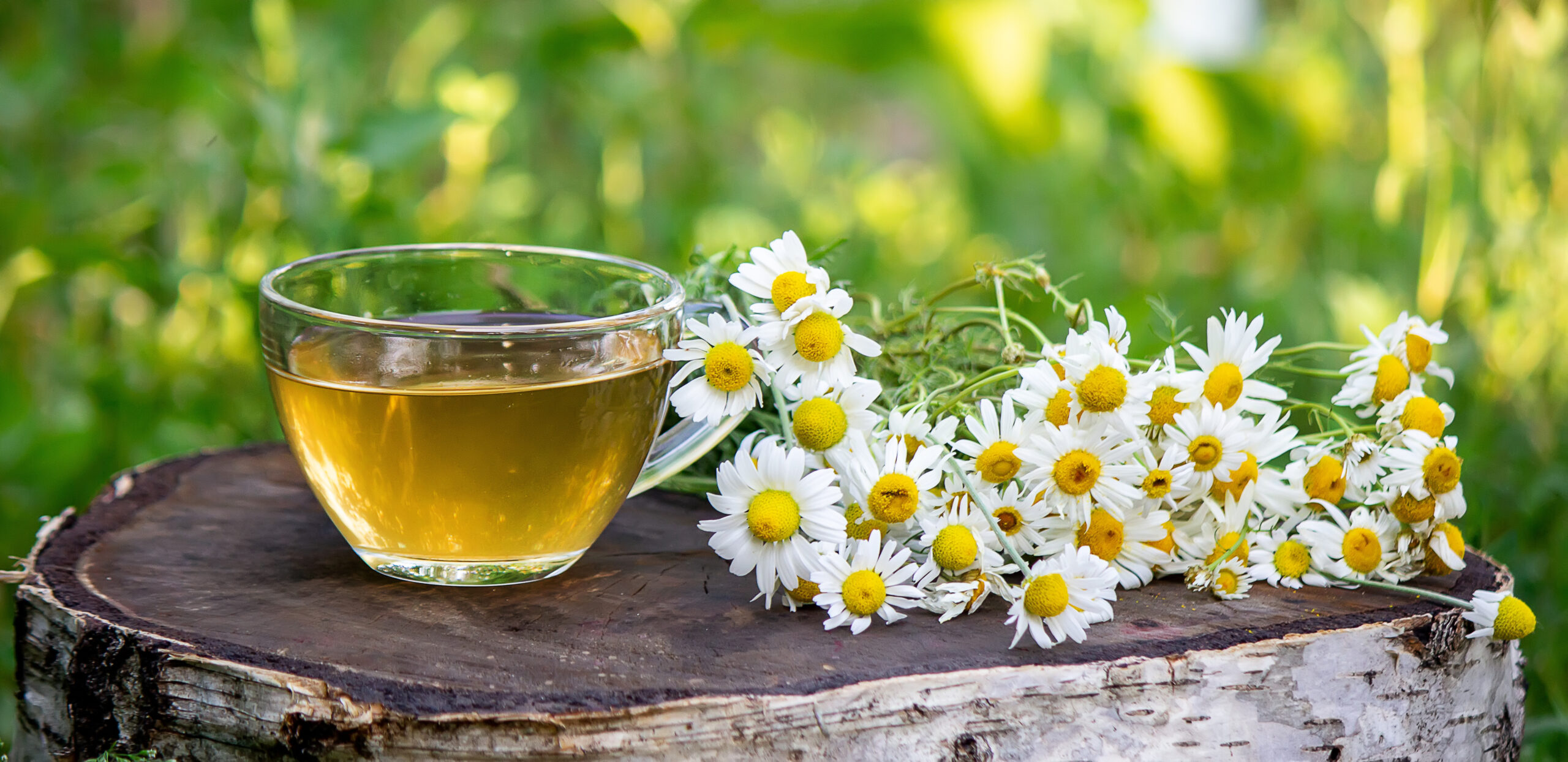 Healthy chamomile tea on a wooden background. Nature. Selective focus